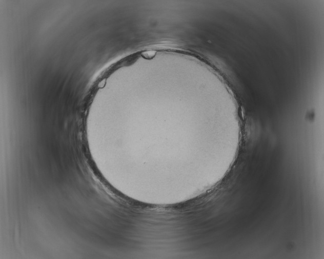 X0000115561356200912181607