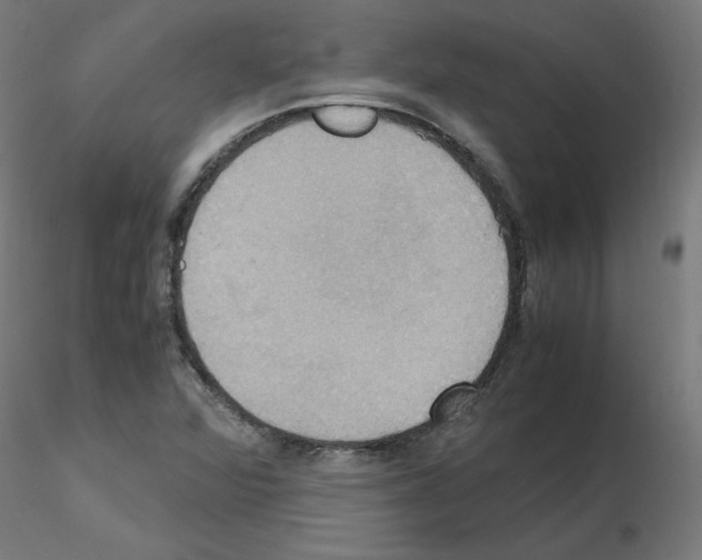 X0000115561360200912181607