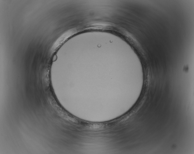 X0000115561362200912181607