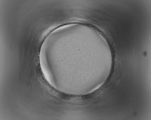 X0000115561363200912181607