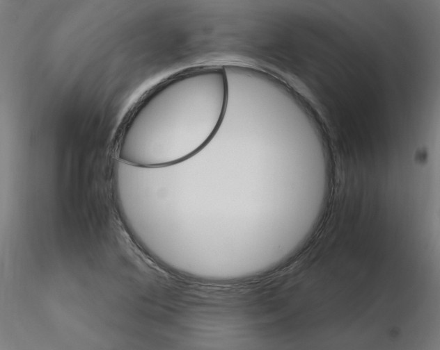 X0000115561364200912181607