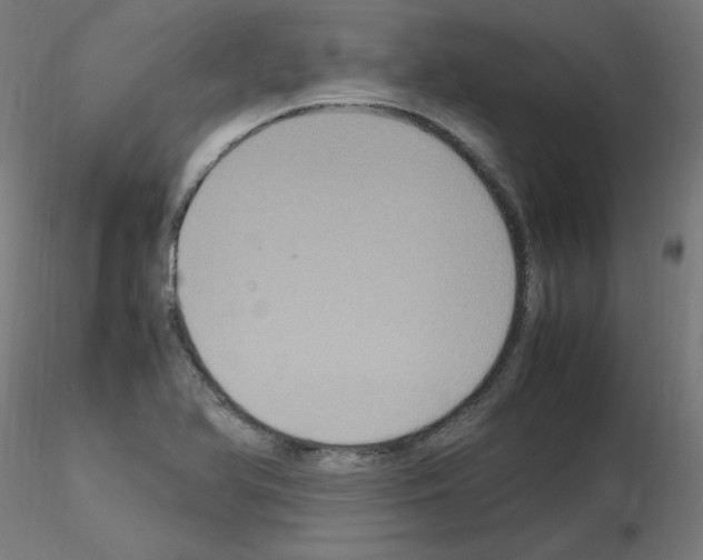 X0000115561366200912181607