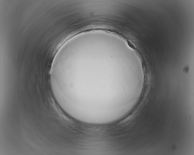 X0000115561369200912181607