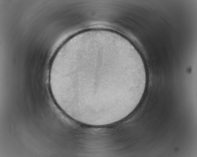 X0000115561376200912181607