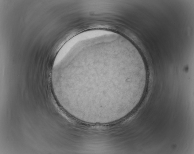 X0000115561377200912181607