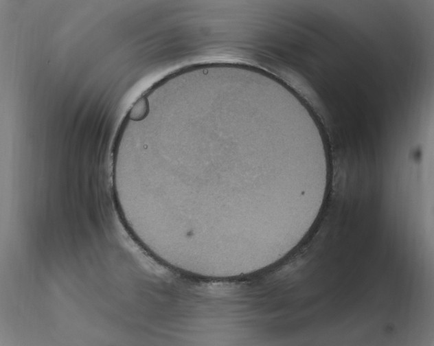 X0000115561380200912181606