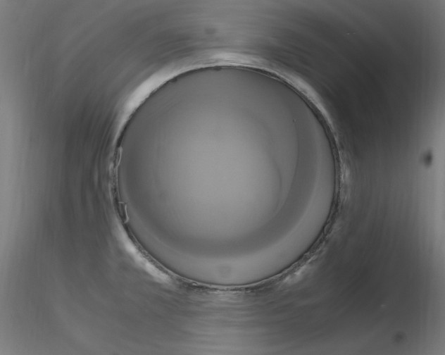 X0000115561381200912181606