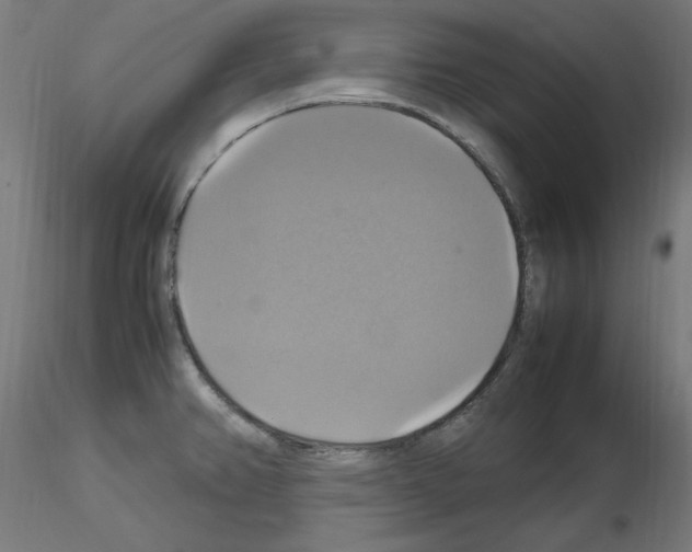 X0000115561382200912181606