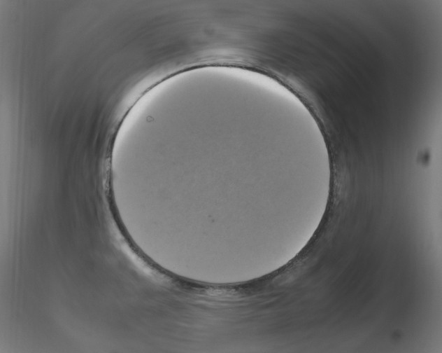 X0000115561383200912181606