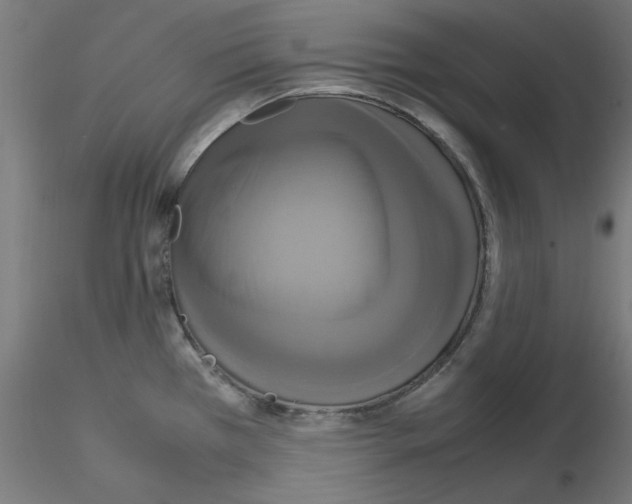 X0000115561385200912181606