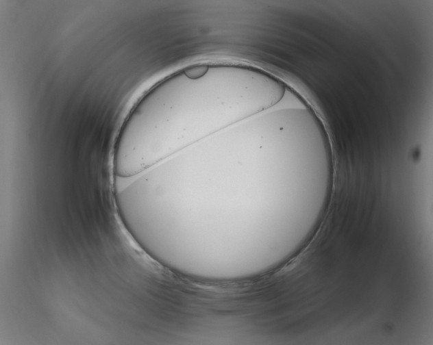 X0000115561388200912181606