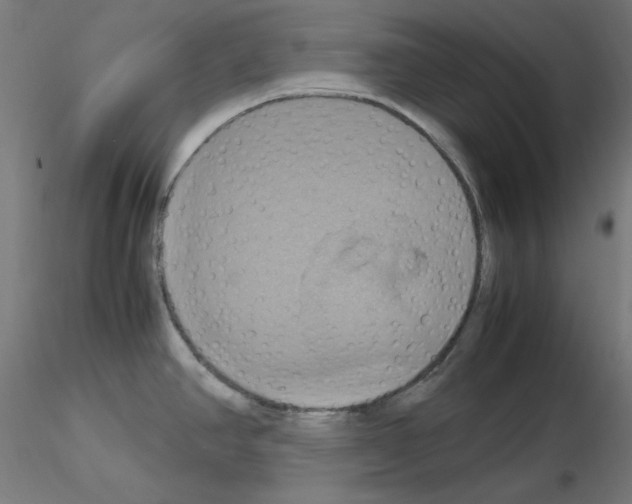 X0000115561390200912181606