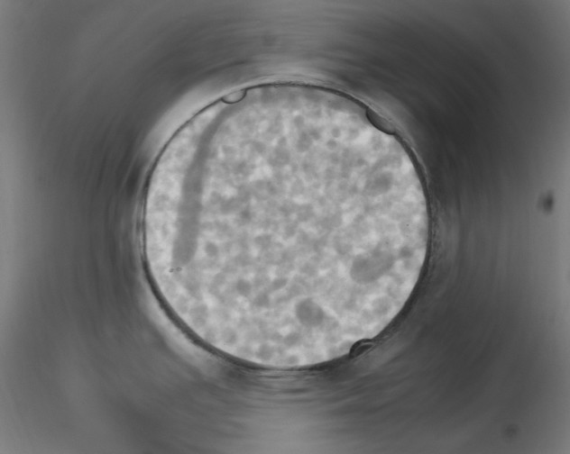 X0000115561391200912181606