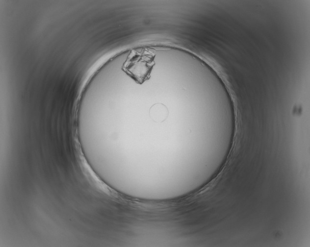 X0000115561392200912181606