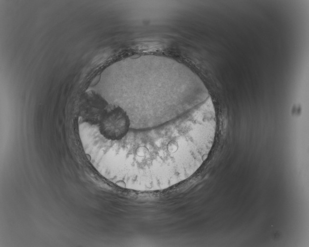 X0000115561393200912181606