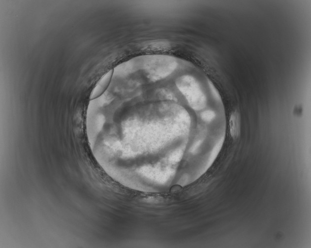 X0000115561395200912181606