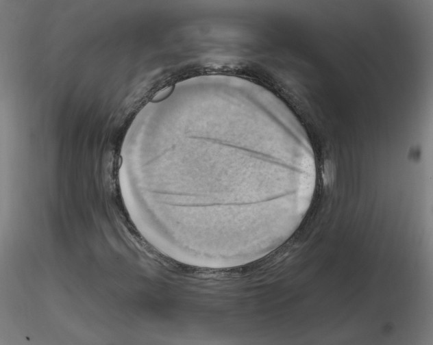 X0000115561396200912181606