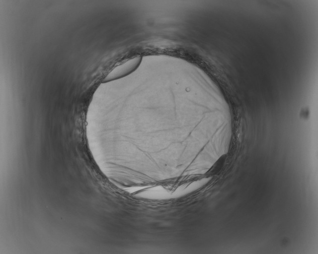 X0000115561397200912181606