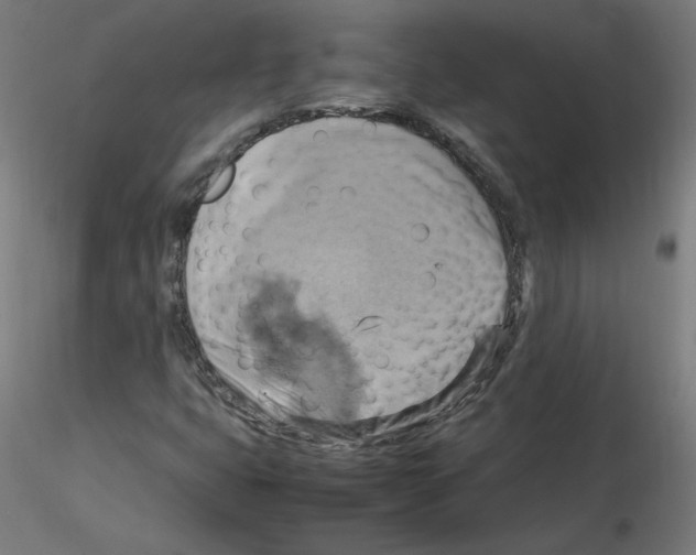 X0000115561399200912181606