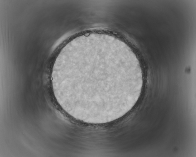 X0000115561400200912181606