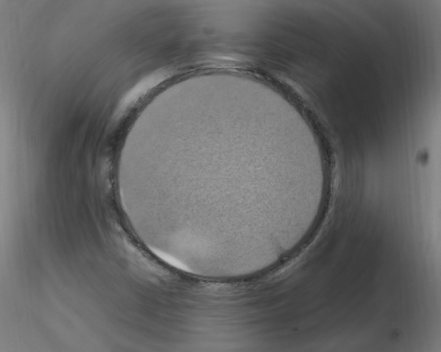 X0000115561402200912181606