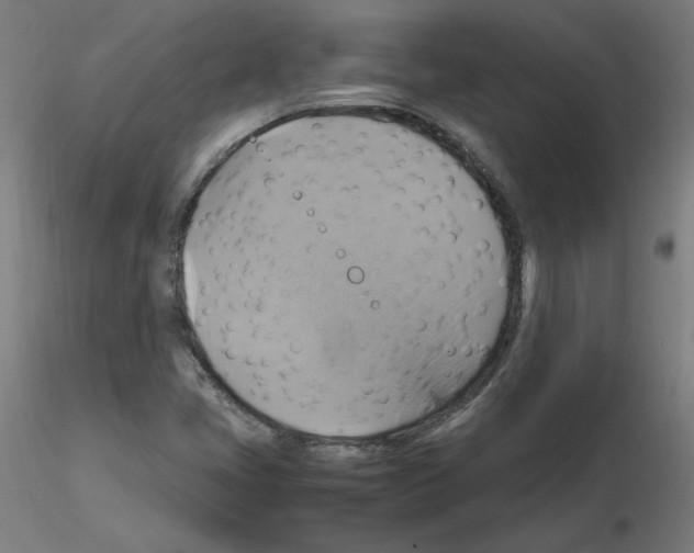 X0000115561405200912181606