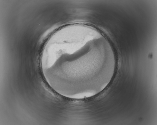 X0000115561406200912181606