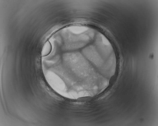 X0000115561409200912181606