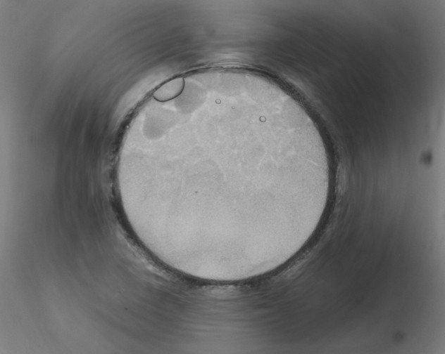 X0000115561410200912181606