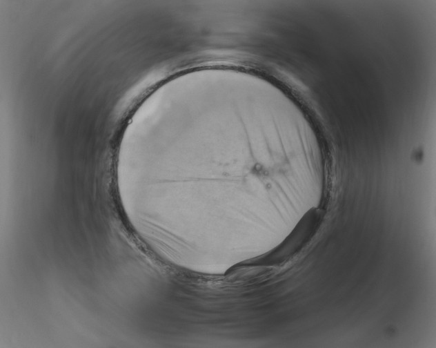 X0000115561411200912181606