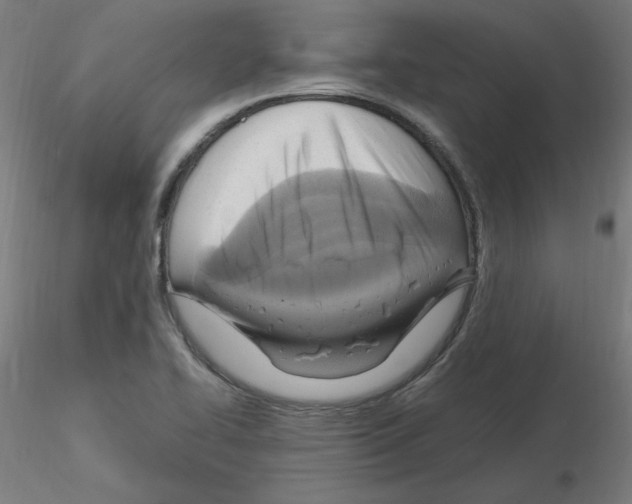 X0000115561414200912181606