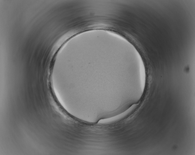 X0000115561418200912181606