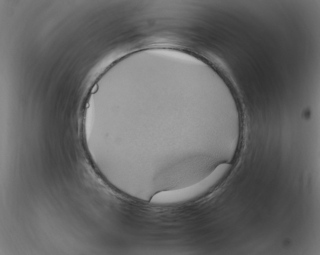 X0000115561419200912181606