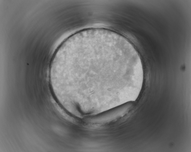 X0000115561420200912181606