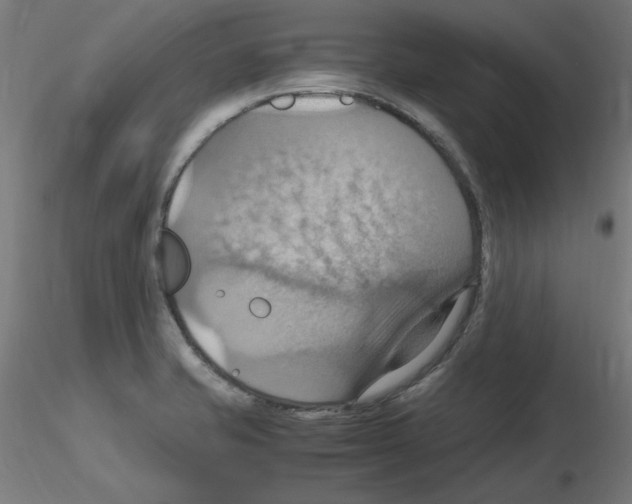 X0000115561421200912181606