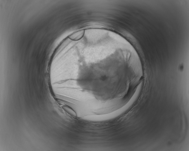 X0000115561427200912181606