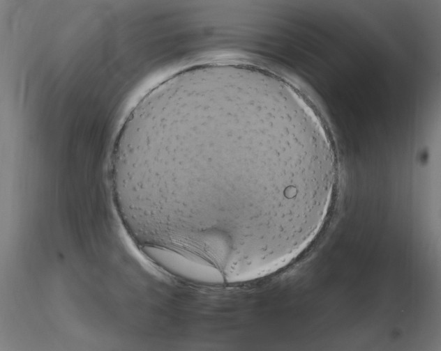 X0000115561429200912181606