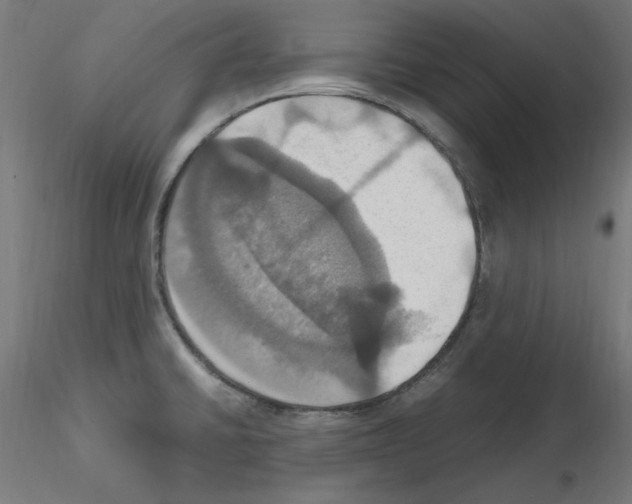 X0000115561430200912181606