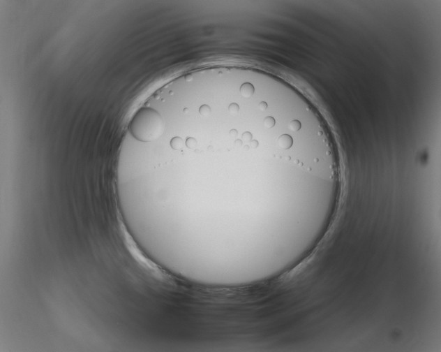 X0000115561433200912181606