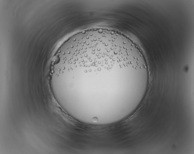 X0000115561435200912181606