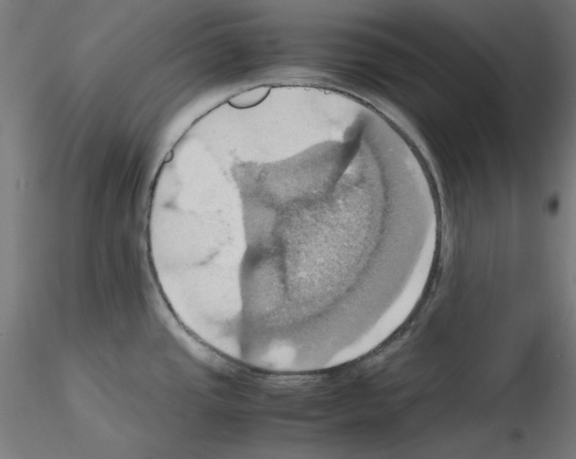 X0000115561437200912181606