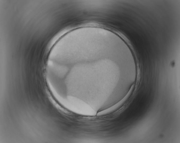 X0000115561438200912181606