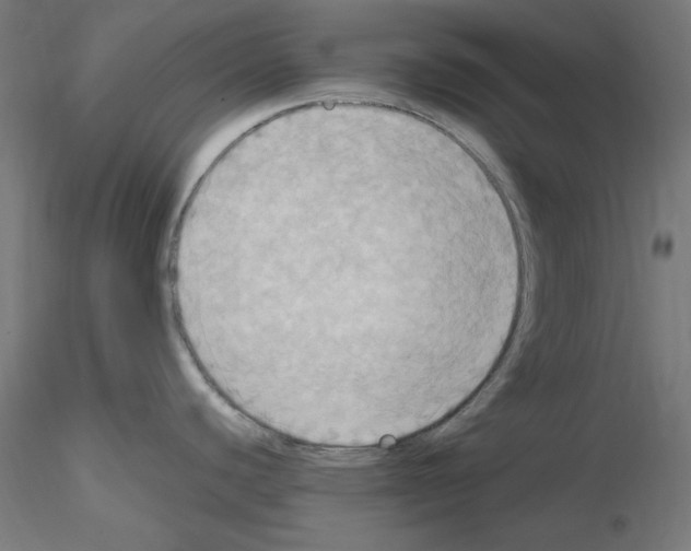 X0000115561440200912181606