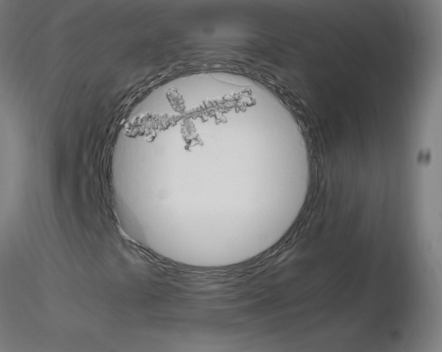 X0000115561441200912181606