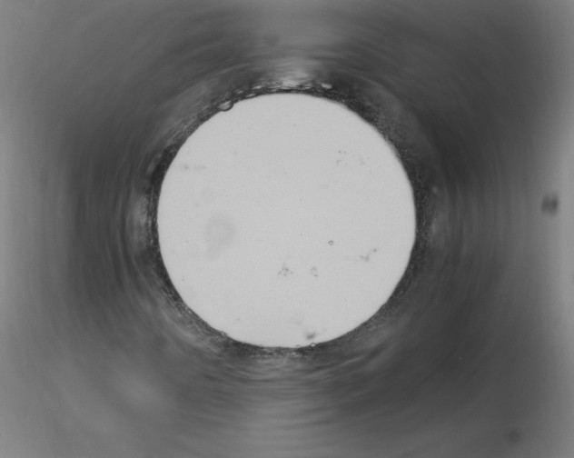 X0000115561442200912181606