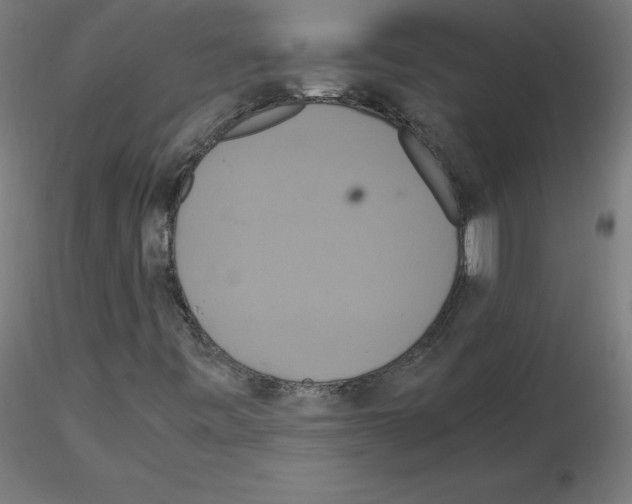 X0000115561443200912181606