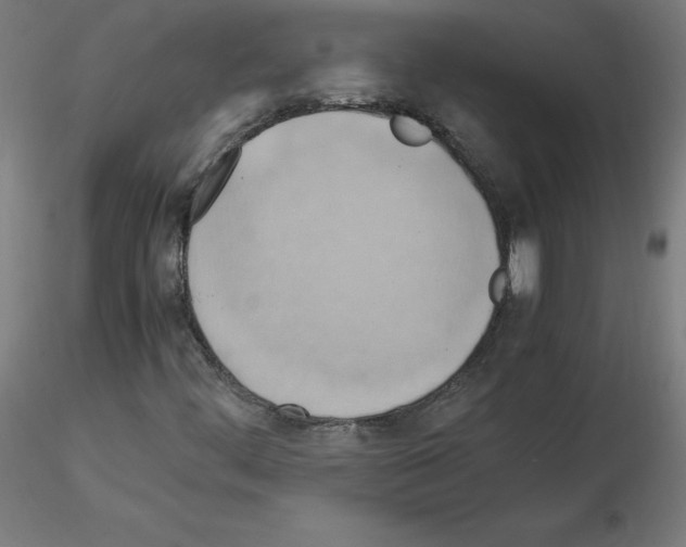 X0000115561444200912181606