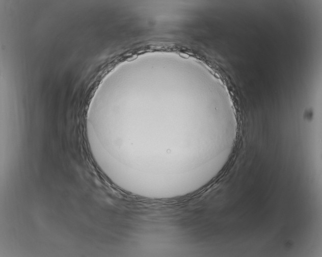 X0000115561445200912181605