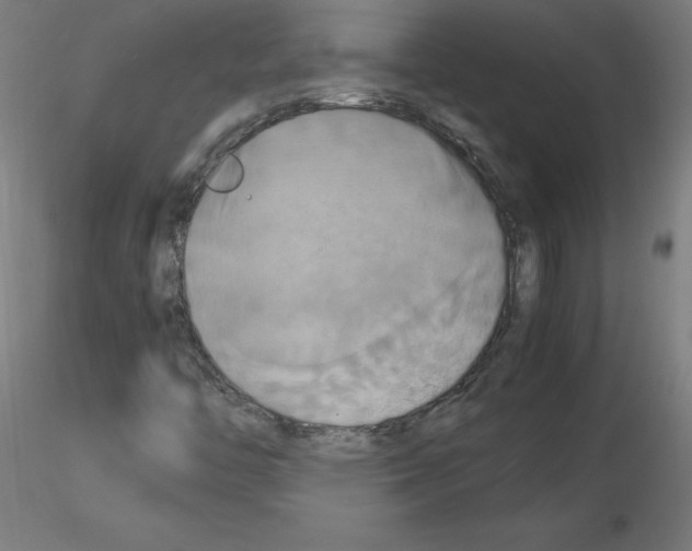 X0000115561446200912181605