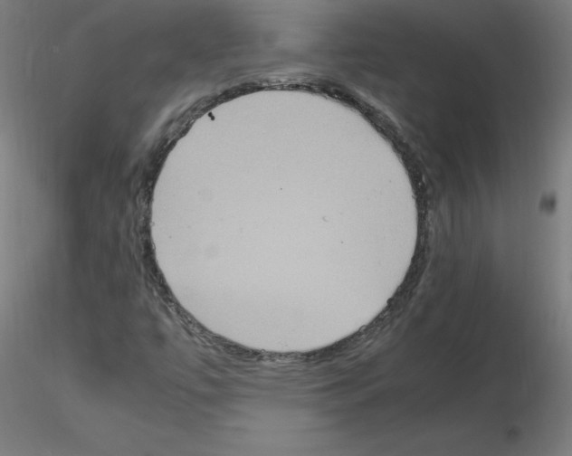 X0000115561447200912181605